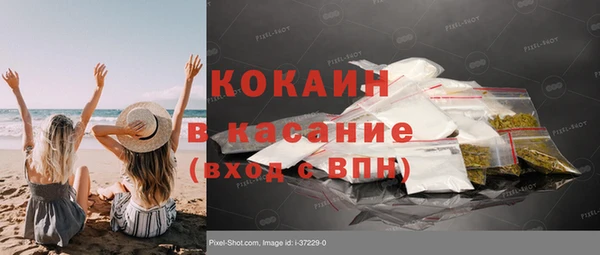 прущие грибы Беломорск