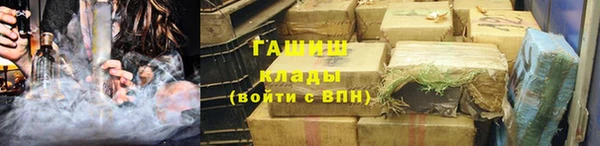 PSILOCYBIN Белокуриха