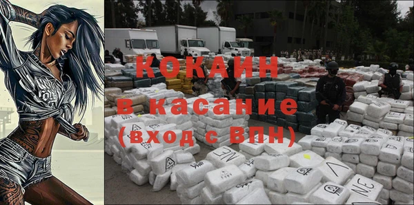 прущие грибы Беломорск