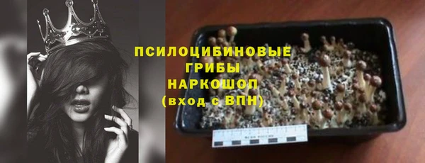 дмт Богданович