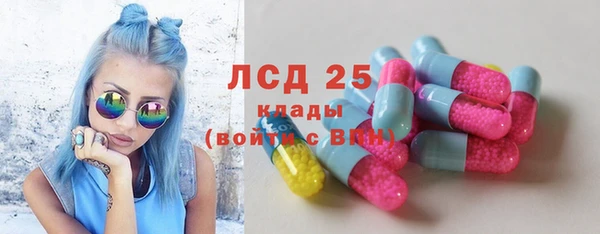 PSILOCYBIN Белокуриха