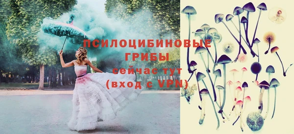 мдпв Богородицк