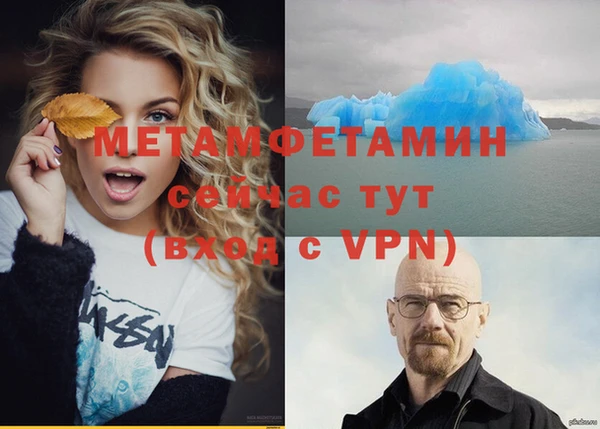 прущие грибы Беломорск