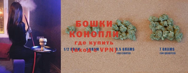 PSILOCYBIN Белокуриха