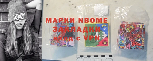 прущие грибы Беломорск