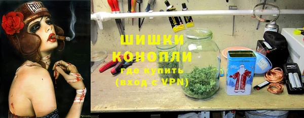 дмт Богданович