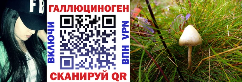 МЕГА как войти  Бодайбо  Псилоцибиновые грибы мухоморы 